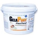 Gelapony FlexiTend 600 g