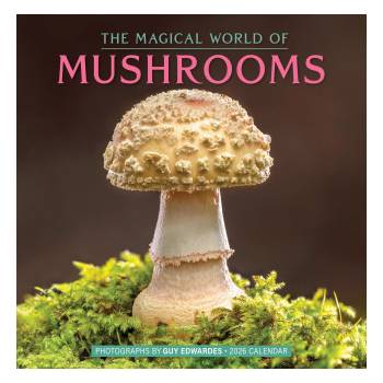 WORKMAN Cal 26 magical world of mushrooms | wall