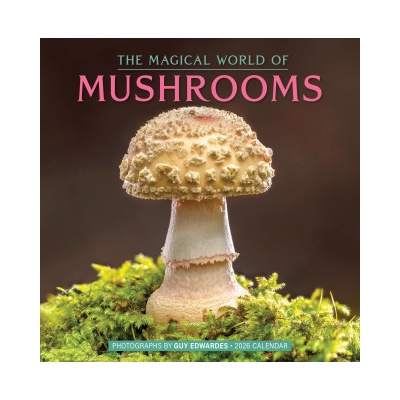 WORKMAN Cal 26 magical world of mushrooms | wall