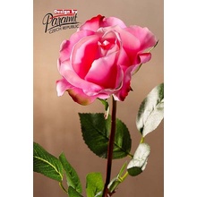 Ruže sv.růžová 67 cm 67 cm