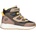 Lotto KALISTO 33
