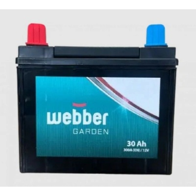 Webber Garden 12V 30Ah 300A U1L