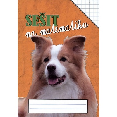 Sešit na matematiku - čtvercová síť 7 x 7mm, Brožovaná