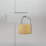 vidaXL U Lock с ключове 50 бр. Месинг Желязо (42021945)