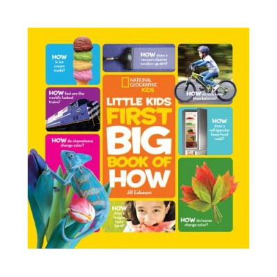 Little Kids First Big Book of How