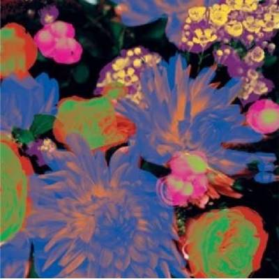 Darkstar - Timeaway LP – Hledejceny.cz