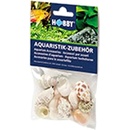 Hobby Sea Shells Set M 10 ks