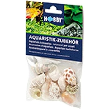 Hobby Sea Shells Set M 10 ks