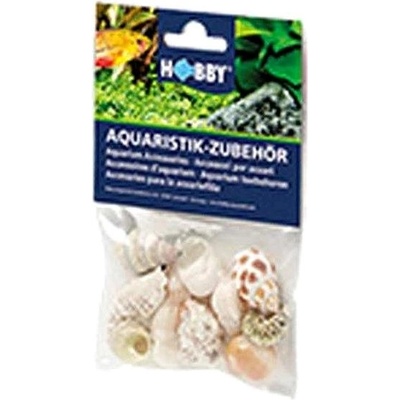 Hobby Sea Shells Set M 10 ks