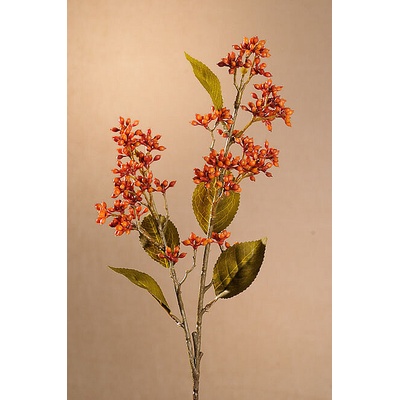 DRY VIBURNUM TINUS 58 cm oranžová 58 cm