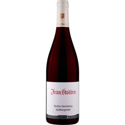 Jean Stodden Das Rotweingut Spätburgunder Rulandské modré suché červené 2018 13% 0,75 l (holá láhev)
