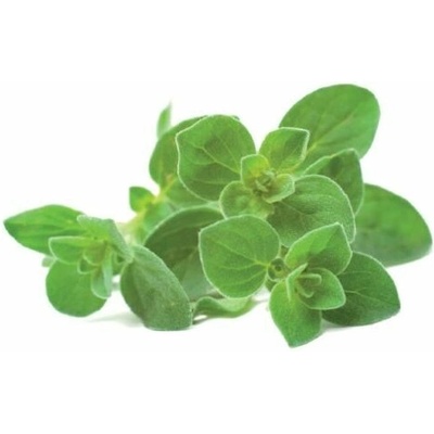 Click and Grow Oregano