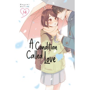 CONDITION CALLED LOVE V14 (ISBN: 9798888772676)