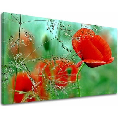 Obraz na stenu KVETY - 20x30