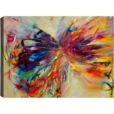 Vavien Artwork Stretched Butterfly obraz barevná