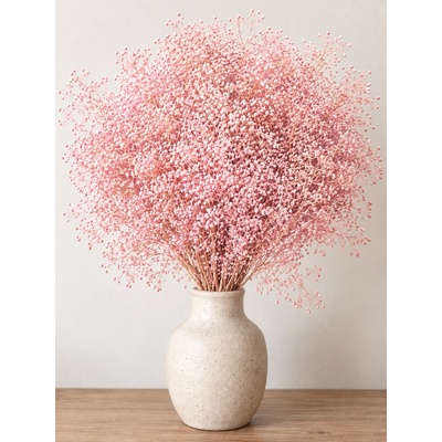 Stabilizovaná mini Gypsophila svazek/kytice světle růžová 90g-95g