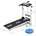 BodyFlex Magnetic T500