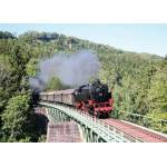 Ravensburger - Puzzle Sauschwänzlebahn Railway - 1 000 piese