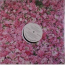 Step By Step Remixes LP