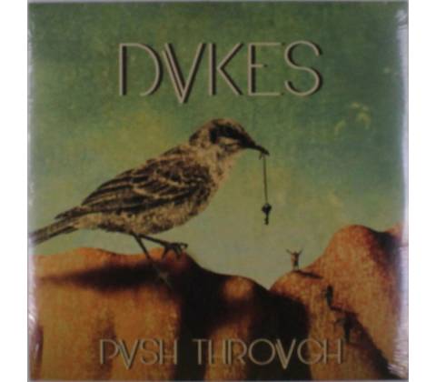 DVKES: PUSH TROUGH LP