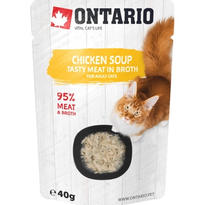 Ontario Soup Cat Chicken 40 g