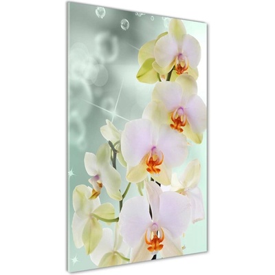 Vertikálny foto obraz sklenený Orchidea 50x100 cm