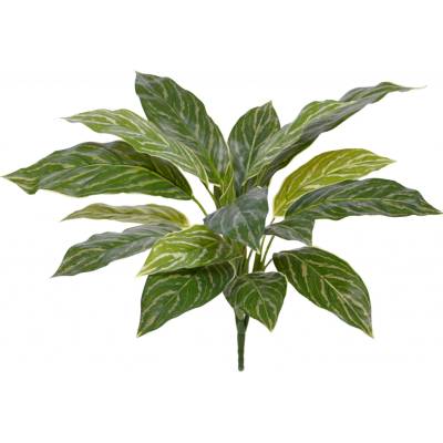 MF Umělá rostlina Aglaonema (40cm)