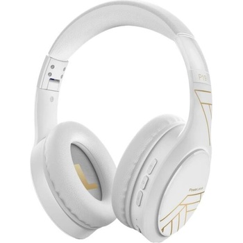 Image 1 of PowerLocus P19