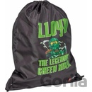 LEGO® NINJAGO® Lloyd