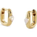 GUESS jsbe04552jwygt/u (jsbe04552jwygt/u)