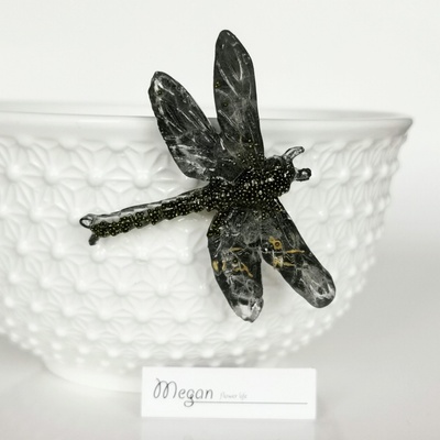 Meganflo Брошка водно конче