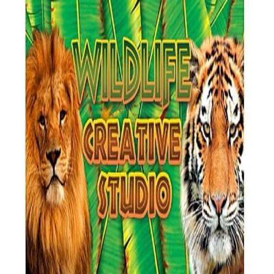 Игра Wildlife Creative Studio за PC Steam, Електронна доставка