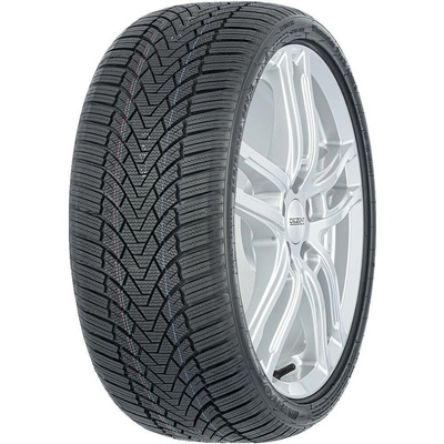 Arivo Winmaster Prox ARW3 195/65 R15 95T