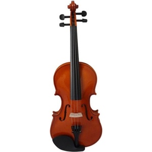 Pasadena SGV 015 1/2 Акустична цигулка (SGV-015G-1/2)