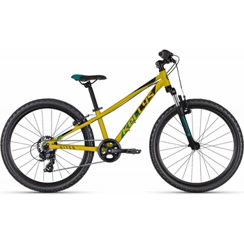 Kellys Marc 50 2025