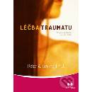 Léčba traumatu