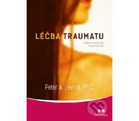 Léčba traumatu