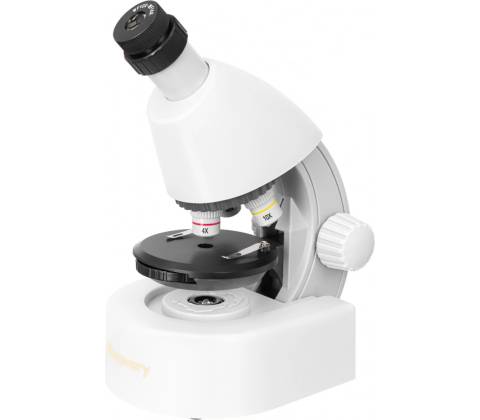 Discovery Micro Polar