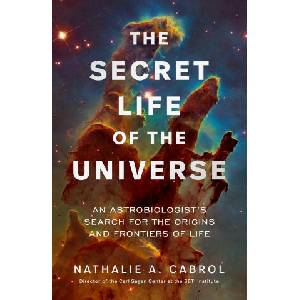 Secret Life of the Universe (2024)