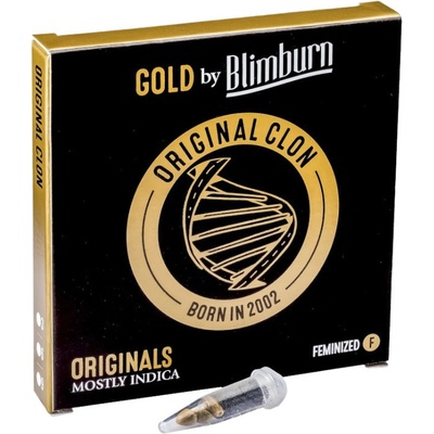 Blimburn Seeds Original Clon semienka neobsahujú THC 9 ks
