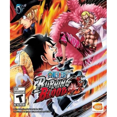 BANDAI NAMCO Entertainment One Piece Burning Blood (PC)