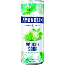 Amundsen + Soda bezinka 6% 0,25 l (plech)