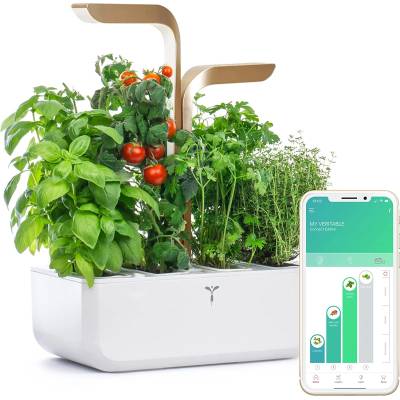 Véritable Домашна градина Veritable - Connect, Bluetooth, 9.5 W, бяло-златно (VPOT-BAWМG-A-12)