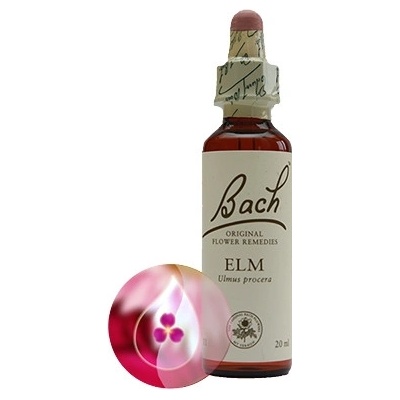 Bachovy květové esence Jilm Elm 20 ml
