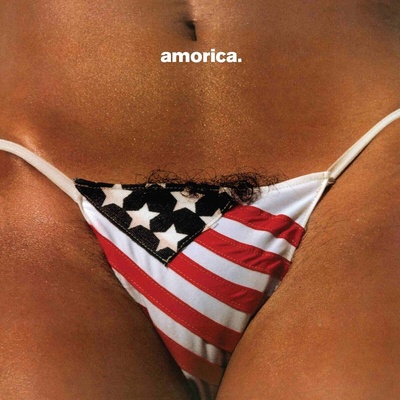 The Black Crowes - Amorica (Reissue) (180g) (Limited Super Deluxe Edition) (4 LP & Single 10") (602478382857)