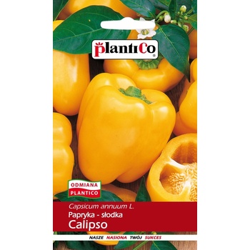 Paprika CALIPSO semená 0,5 g