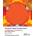 Cortical Visual Impairment - Approach to Assessment | Christine Roman-Lantzy