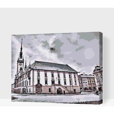 Painting Queens Painting Queens Olomouc 80 x 100 cm vypnuté plátno na rám PBN/OLOMOUC/80X100/W