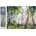 Norimpex - Puzzle Diamant painting: White horse 30x40 cm - 1 - 39 piese