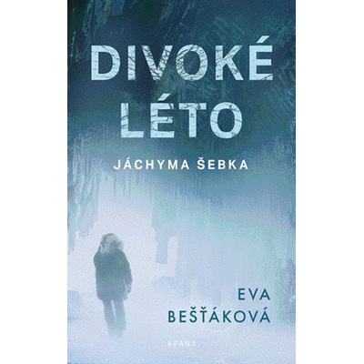 Divoké léto Jáchyma Šebka - Eva Bešťáková